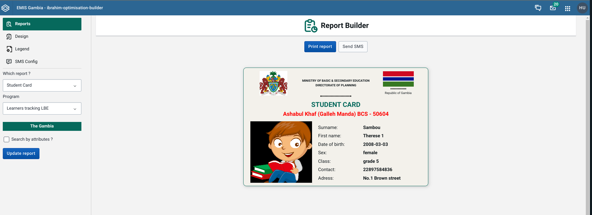 Report builder — interface